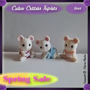 White Mouse Family Triplets